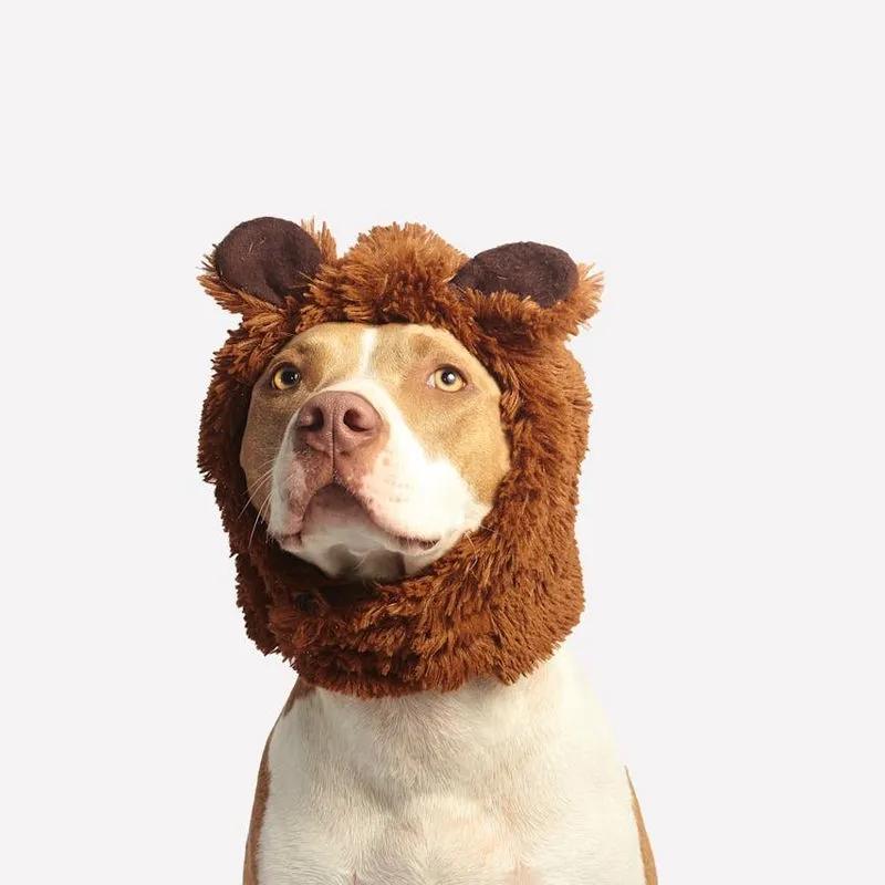 Tester sans tester : le nouveau défi des marques de soins pour animaux